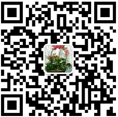  果易嗖美食群